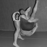 arts martiaux mixtes ou mixed martial arts arts martiaux mixtes ou mixed martial arts