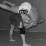 arts martiaux mixtes ou mixed martial arts arts martiaux mixtes ou mixed martial arts