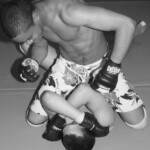 les Mixed Martial Arts, dits MMA, littéralement 'arts martiaux mixtes' combat libre